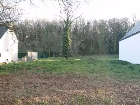 vente terrain à plumergat (56400) : à vendre / 864m² plumergat