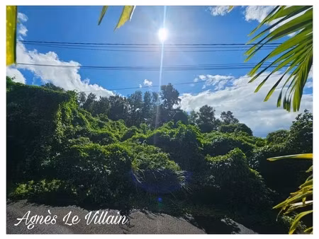 terrain boisé de 1 041 m2