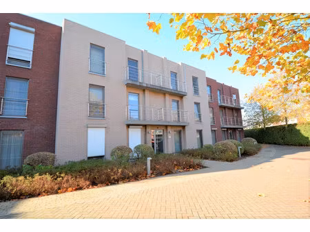 appartement te huur in ranst met 1 slaapkamer