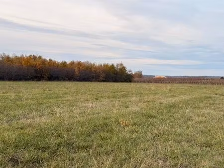 vente terrain 1200 m² lunas (24130)