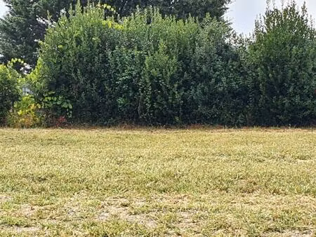 terrain à bâtir à samonac (33710)