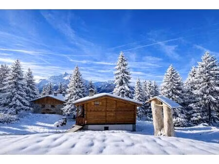 chalet 4 chambres - vue panoramique