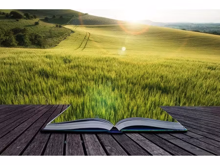 vente terrain 850 m² à périgné (79170)  24 708 €