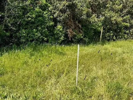 vente terrain 673 m² à ollioules (83190)  235 000 €