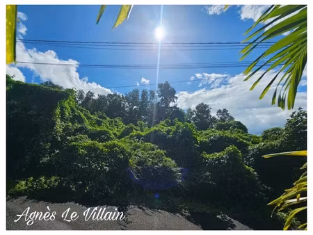 vente terrain 1041 m² à pointe noire (97116)  120 000 €