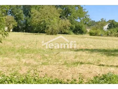 terrain à vendre venesmes