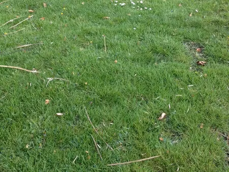 terrain à vendre au artigues de lussac