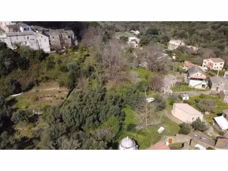 vente terrain à luri (20228)  89 000 €