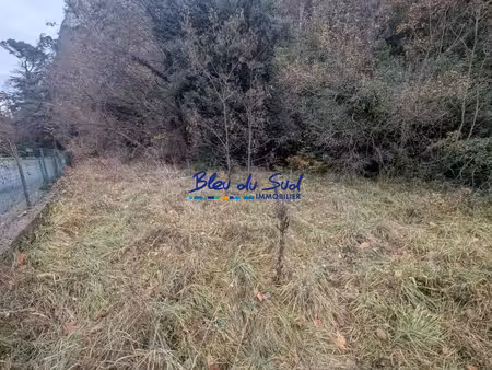 terrain boisé