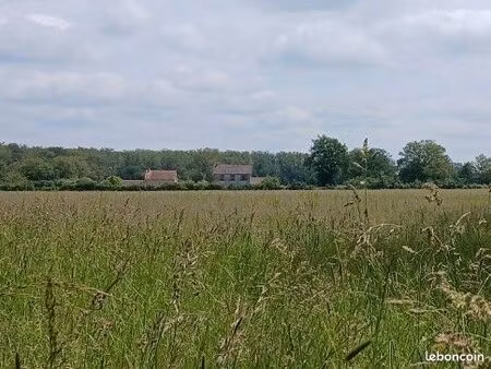 2 maisons à fort potentiel