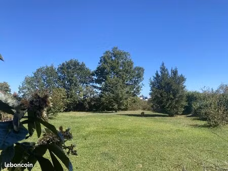 beau terrain arboré cadre exceptionnel