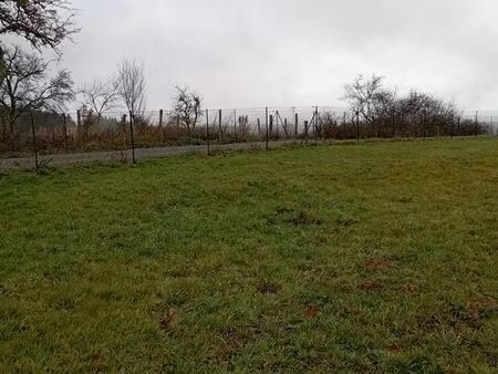 terrain 1 980 m² busset