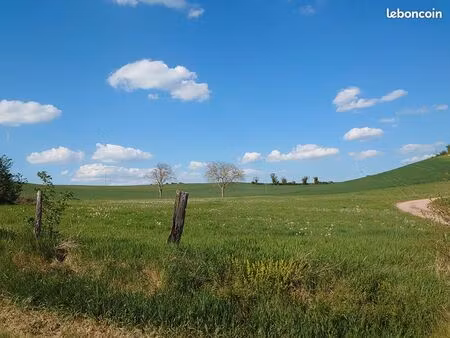 terrain 1999 m² langy