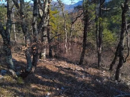 terrain boisé zone naturelle 3 hectares