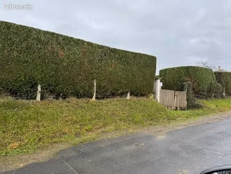 terrain constructible à tournes 08