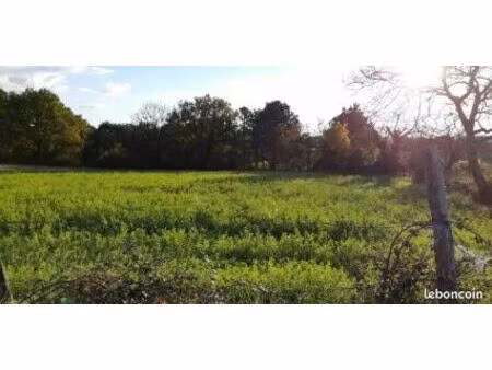 terrain constructible