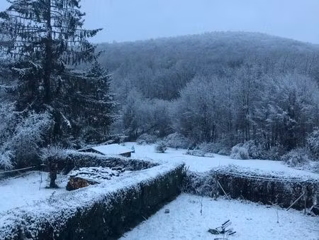 maison en france – à 1 km de la belgique – grand terrain – 69 000