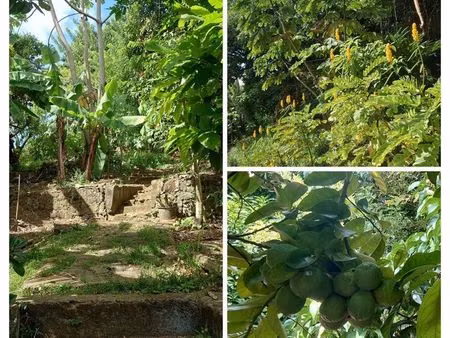 fort de france terrain fruitier  cases et garage. rare