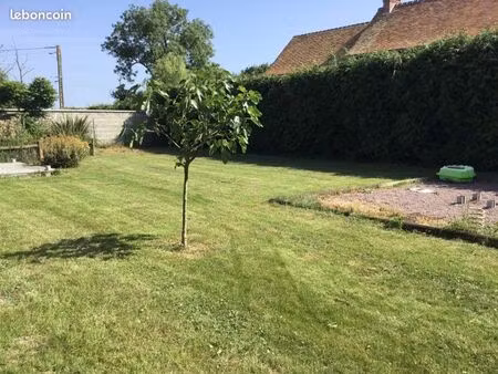 terrain constructible