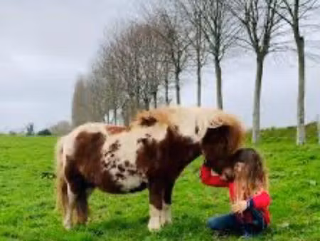 recherche terrain étudie toute proposition