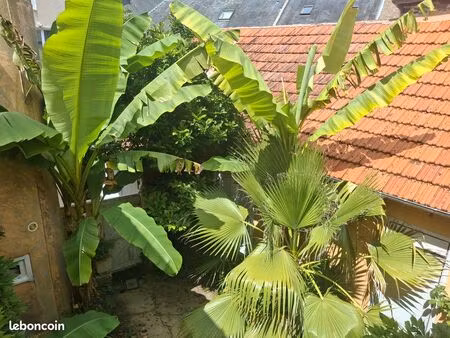 maison de ville  local commercial  studio