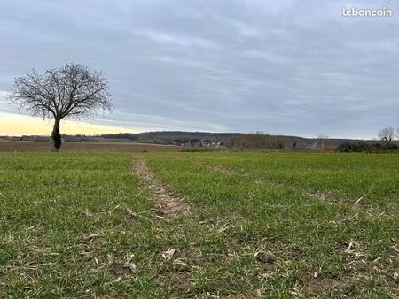 terrain 300 m² villiers-adam