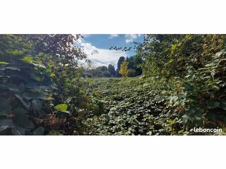 terrain constructible