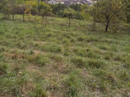 terrain 5354m2 dont 4342m2 contructible