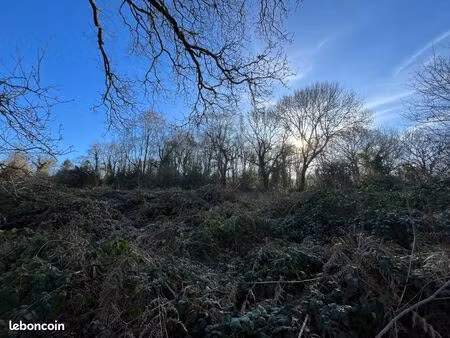 terrain 1 397 m² treffrin