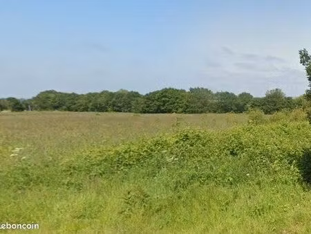 terrain 6 525 m² treffrin