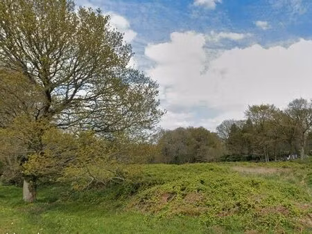 terrain 6 610 m² treffrin