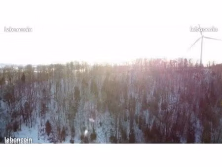 terrain forestier de 3 47 hectares – commune de feule (25)