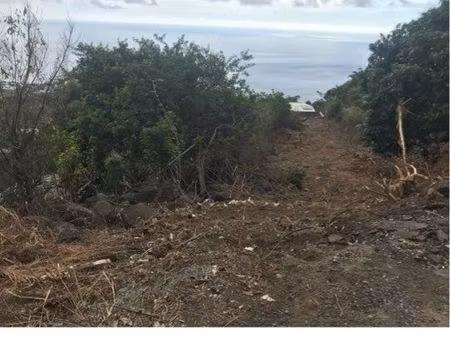 terrain 1000m2 saint leu