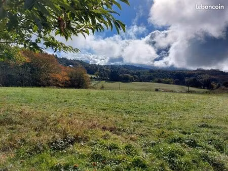 terrain 2 964 m² palazinges