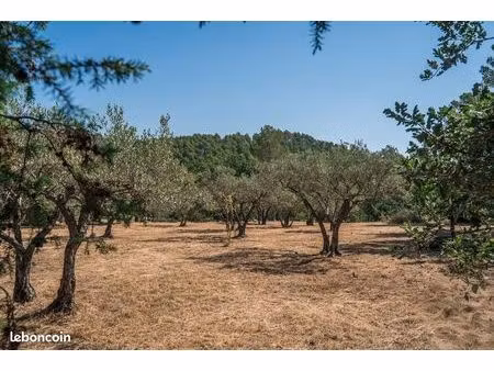 terrain 1 615 m² flayosc