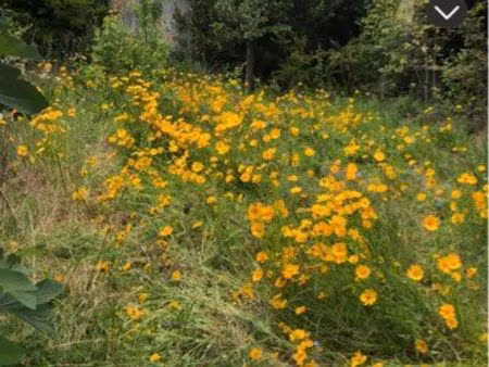terrain à bâtir à vendre