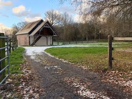 maison en briques sur 1 58 ha – calme absolu – boxes & potentiel – 7 min pont-l’évêque