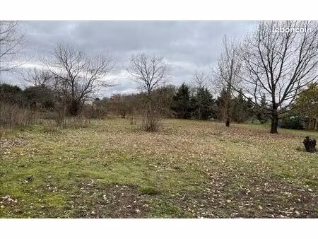 terrain 1 000 m² cartelegue