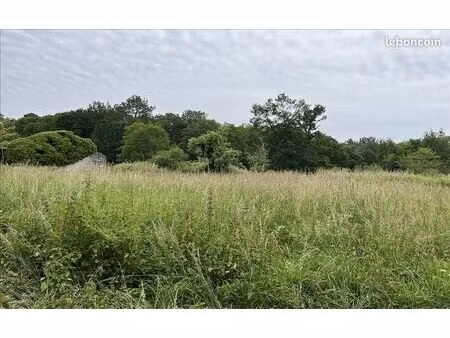 terrain 620 m² cissac medoc