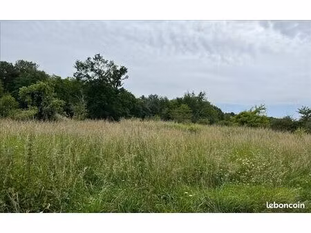 terrain 707 m² cissac medoc
