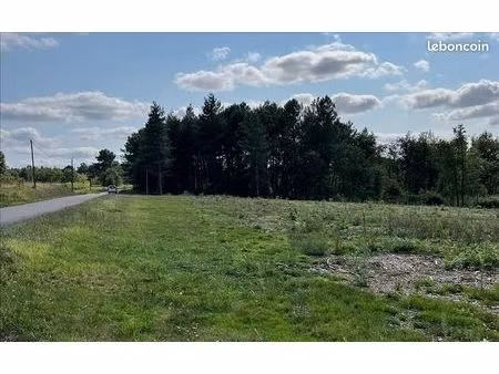 terrain 4 119 m² montguyon