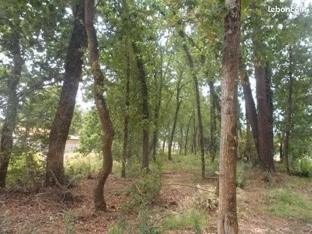 terrain 608 m² le teich