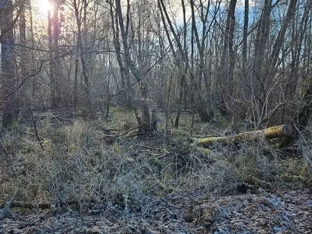 terrain non constructible