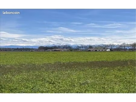 terrain 1 369 m² calmont