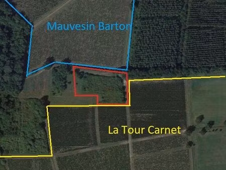 terre à vigne aoc haut-médoc