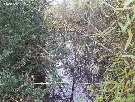 terrain 1 078 m² buzancais