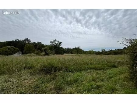 terrain 3 050 m² cissac medoc