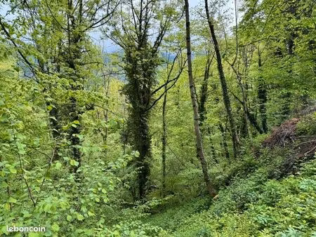 forêt 13 466 m² aulus les bains