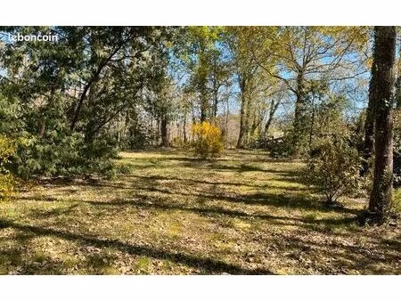 terrain 1 300 m² naujac sur mer