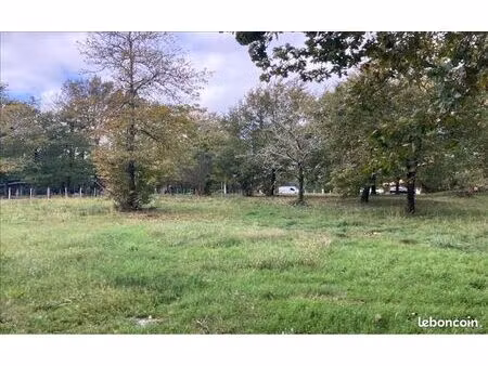 terrain 1 623 m² grayan et l hopital